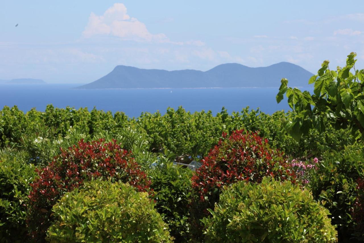 Pantheon&Danae Luxury Villas Sivota Exterior foto